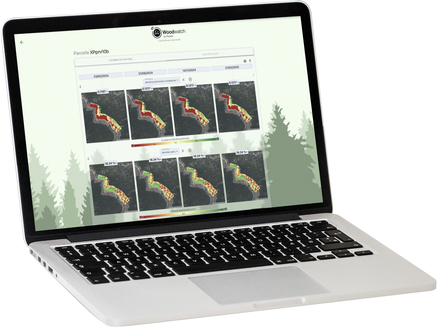 Interface Woodwatch de suivi forestier