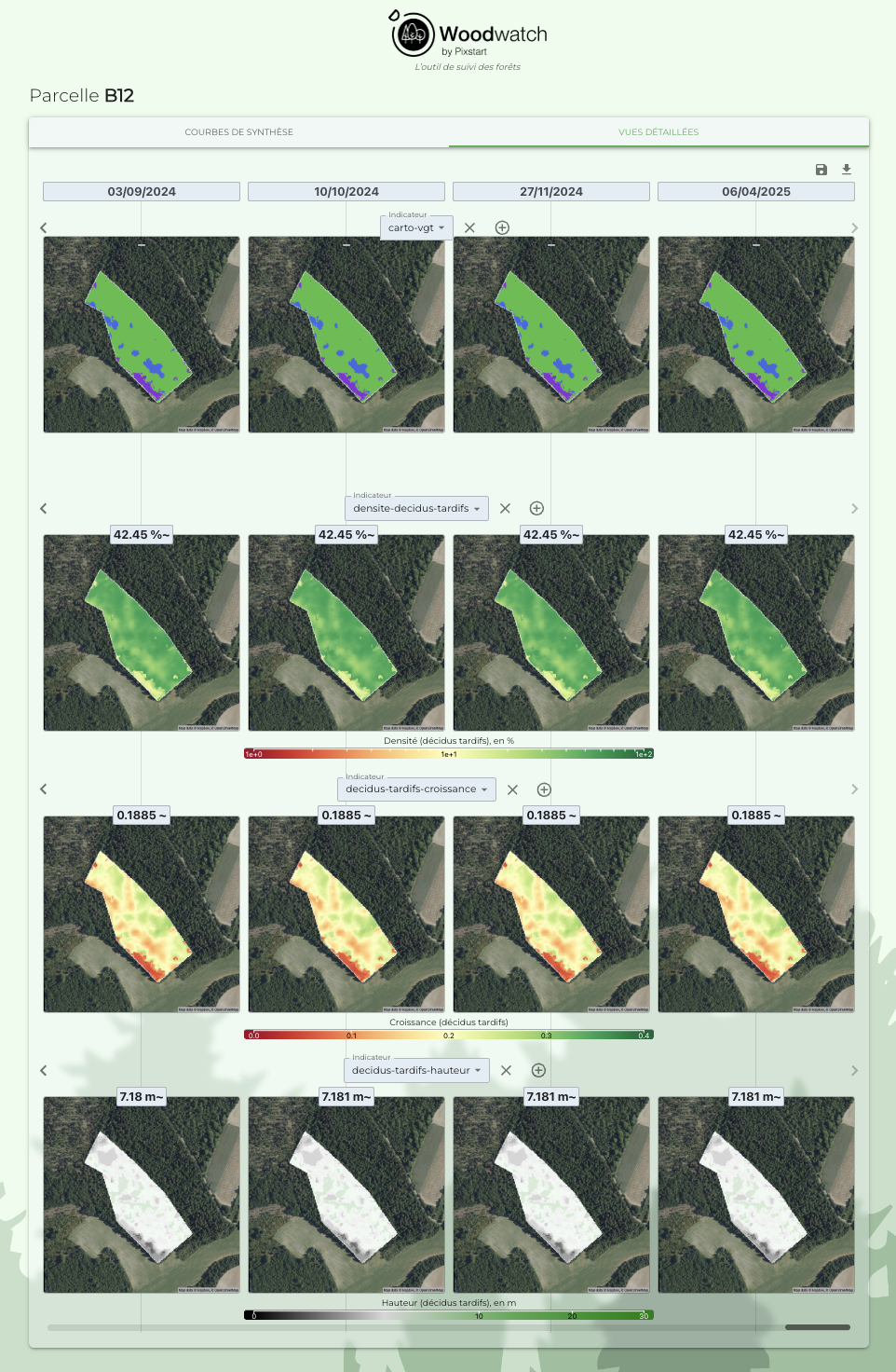 Cartographies régulières Woodwatch