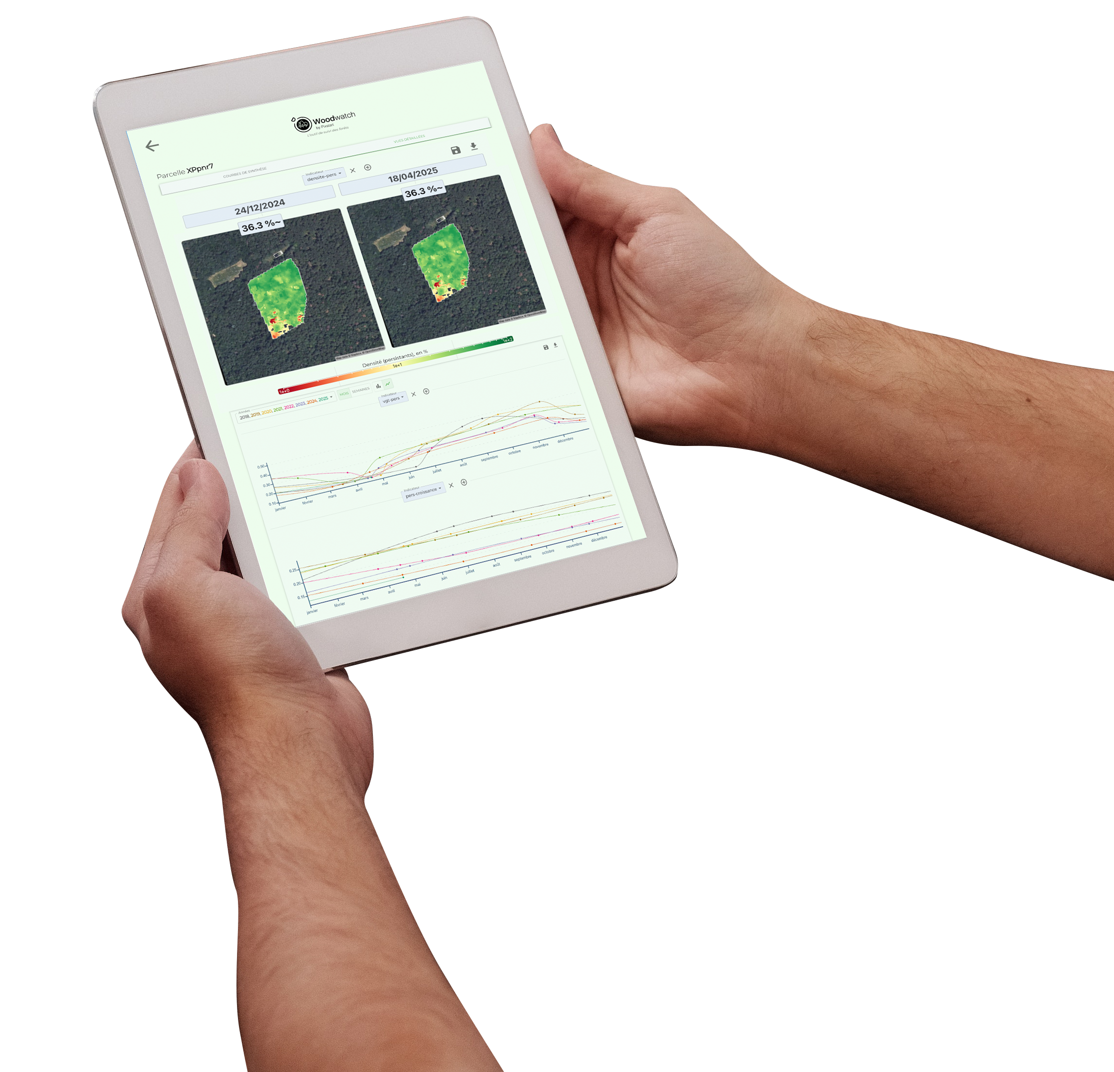Tablette affichant une interface de suivi forestier Woodwatch
