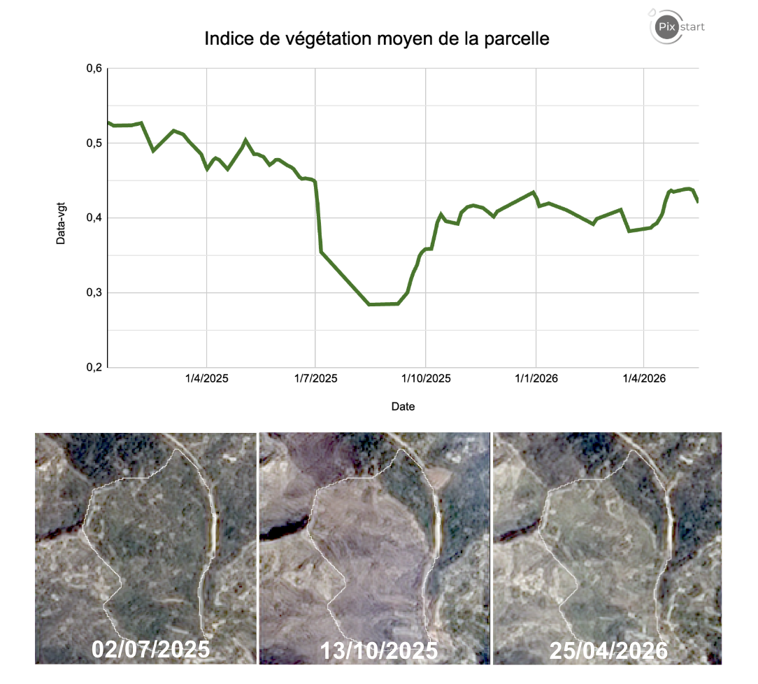 Évolution de l’indice de végétation Courbe d’indice de végétation moyen - Woodwatch