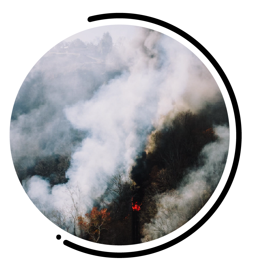 Incendies forêts satellites