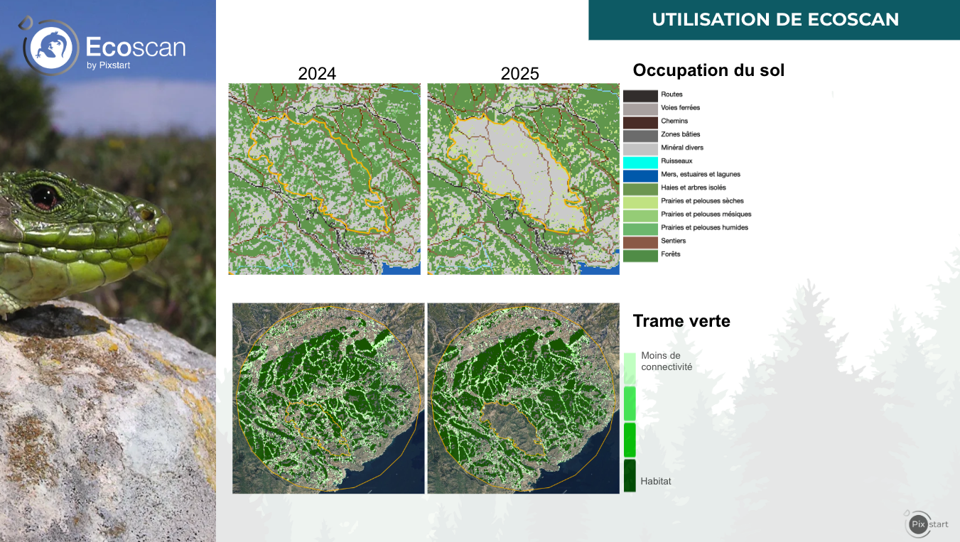 Capture d’écran 2026-07-07 à 09.50.38 Visualisation de la perte d'habitats et de connectivités sur le site de l'incendie.